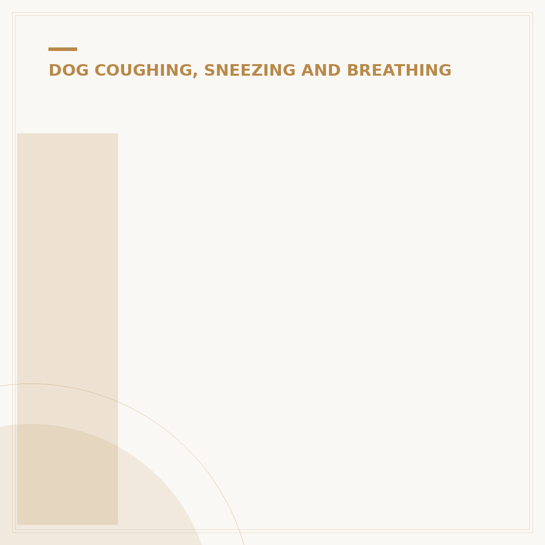 Is Kennel Cough Dangerous for Dogs?