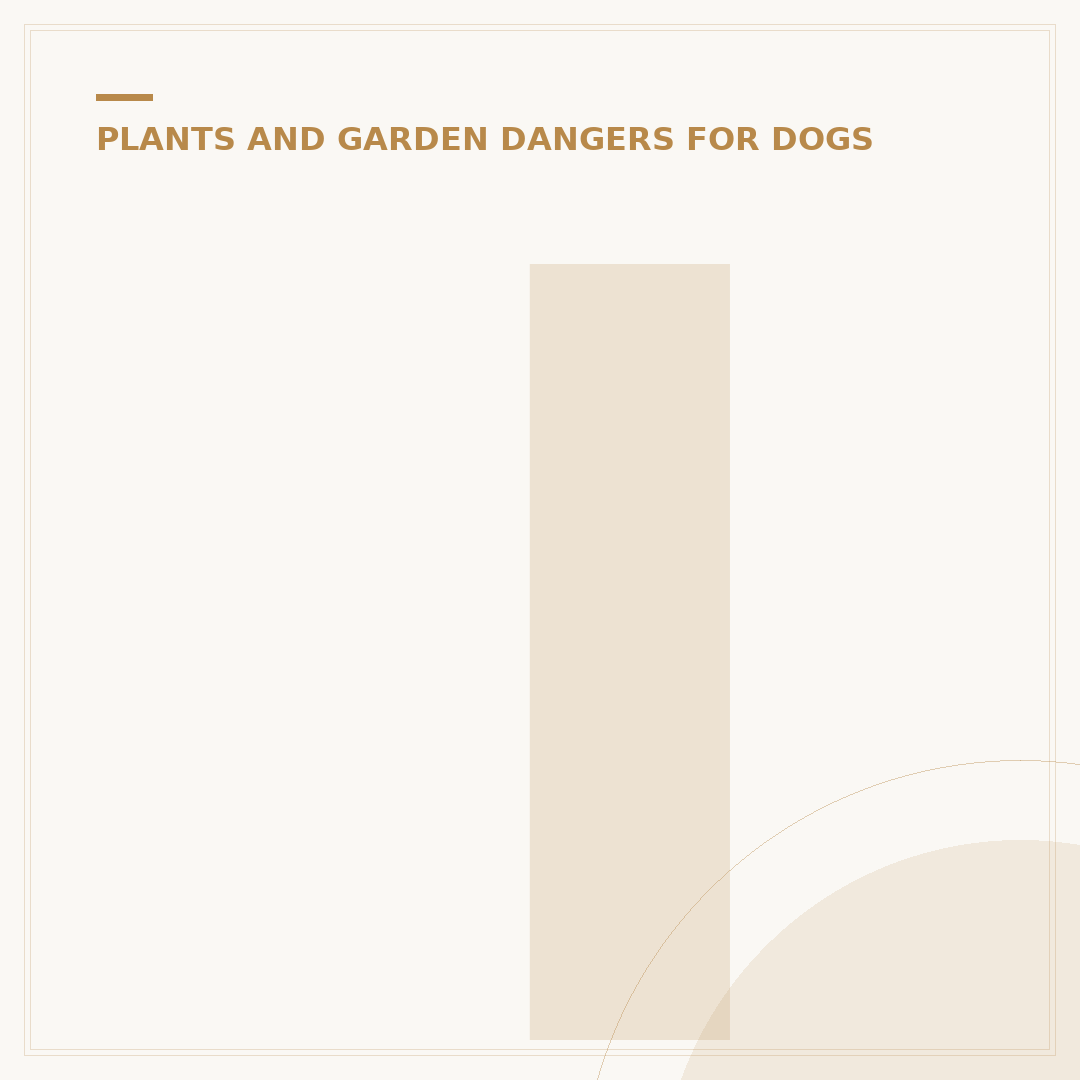 Is Ivy Plant Poisonous to Dogs?
