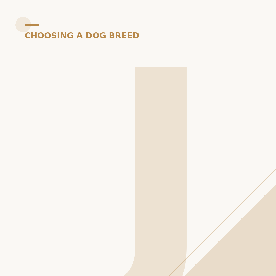 Jack Russell Terrier Mix: What to Expect