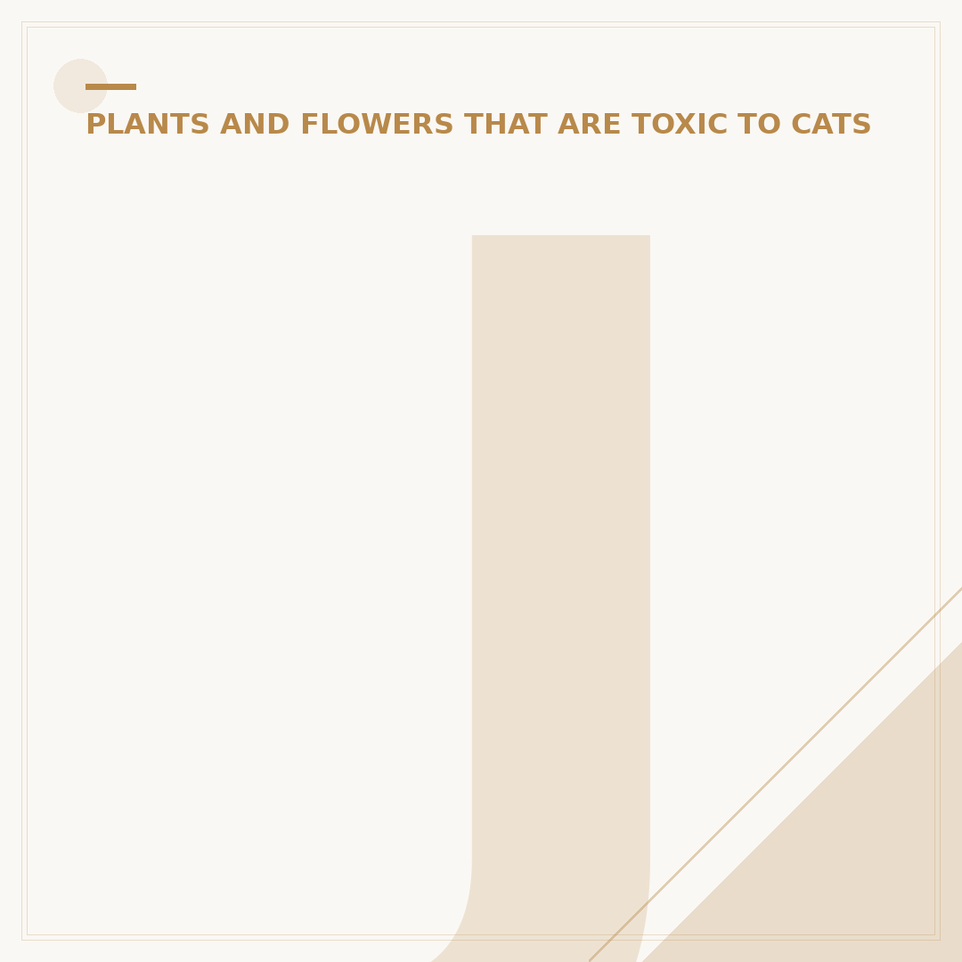 Jade Plant Toxic To Cats: What Pet Owners Need To Know