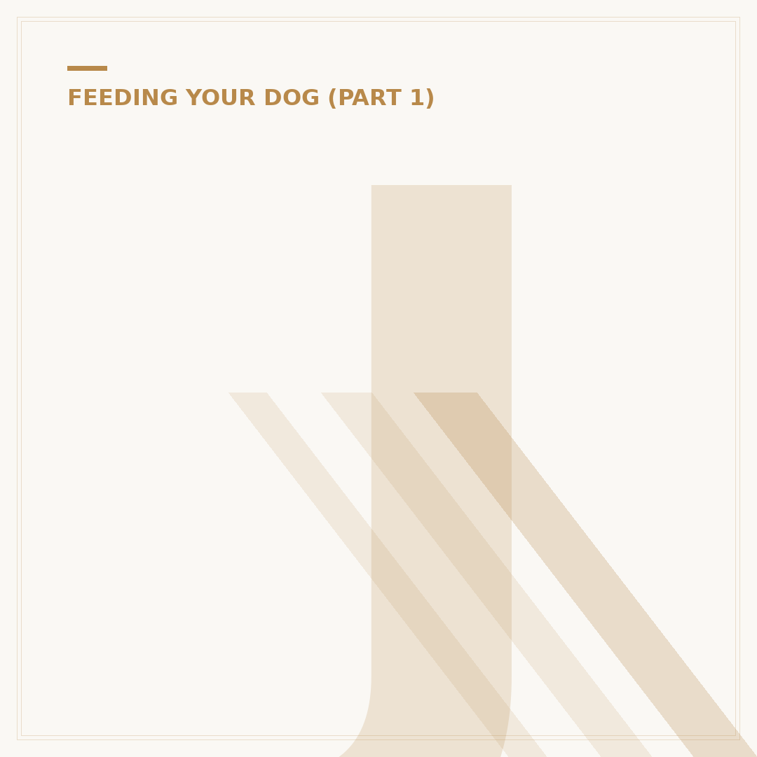 James Wellbeloved Pet Food: What You Need To Know