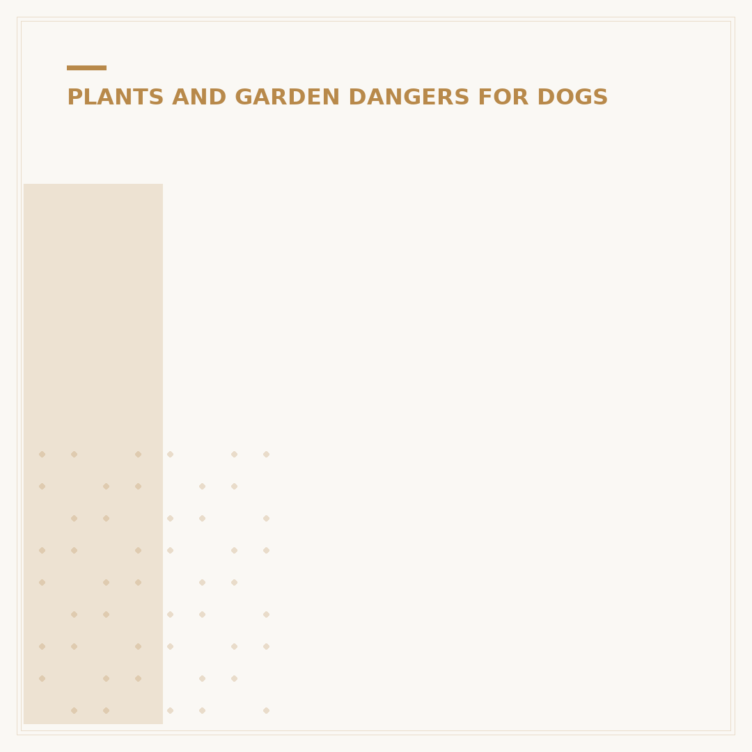 Is a Jasmine Plant Poisonous to Dogs?