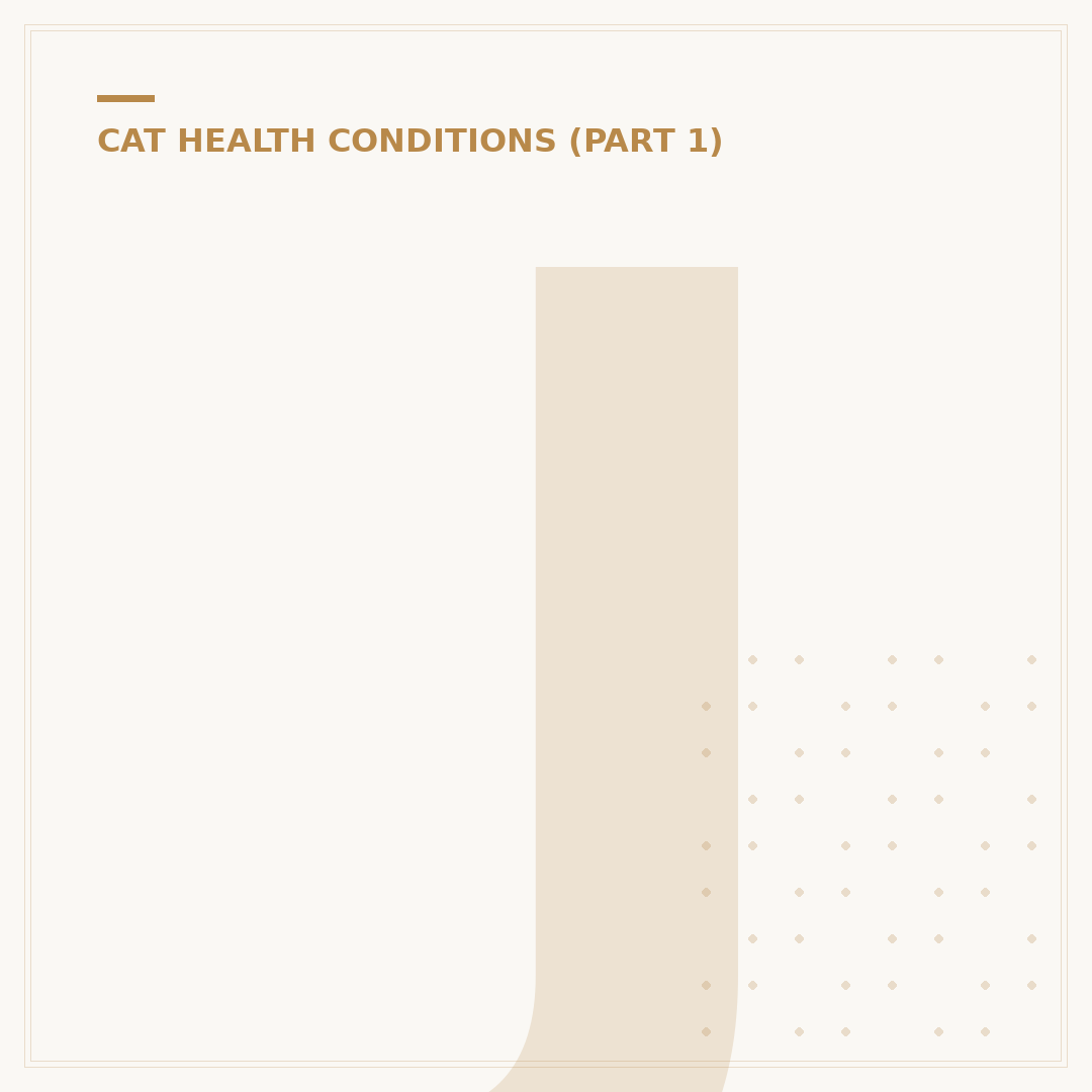 Joint Care for Cats: Support and Maintain Mobility