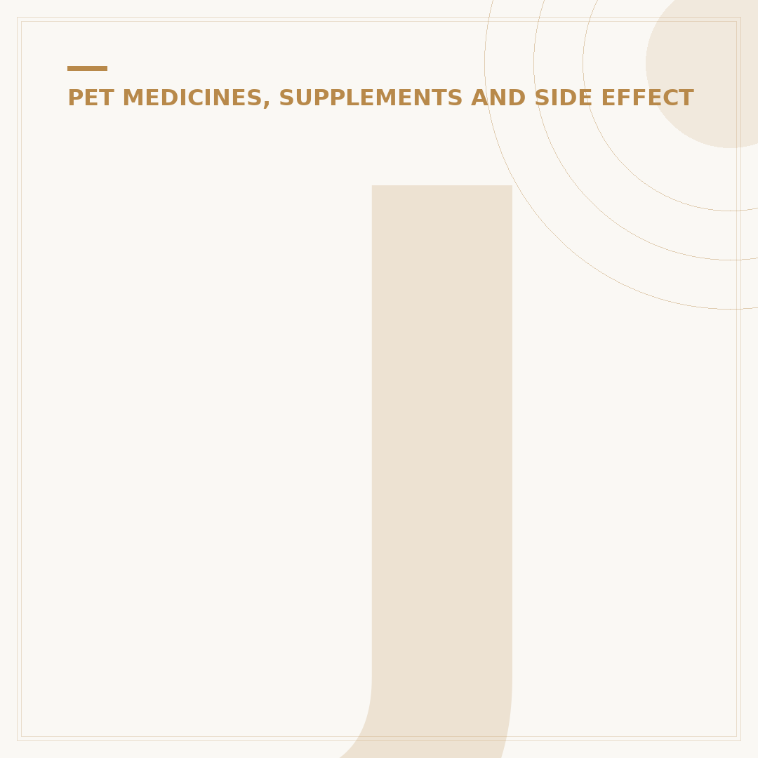 Joint Supplements for Cats: Support Their Mobility