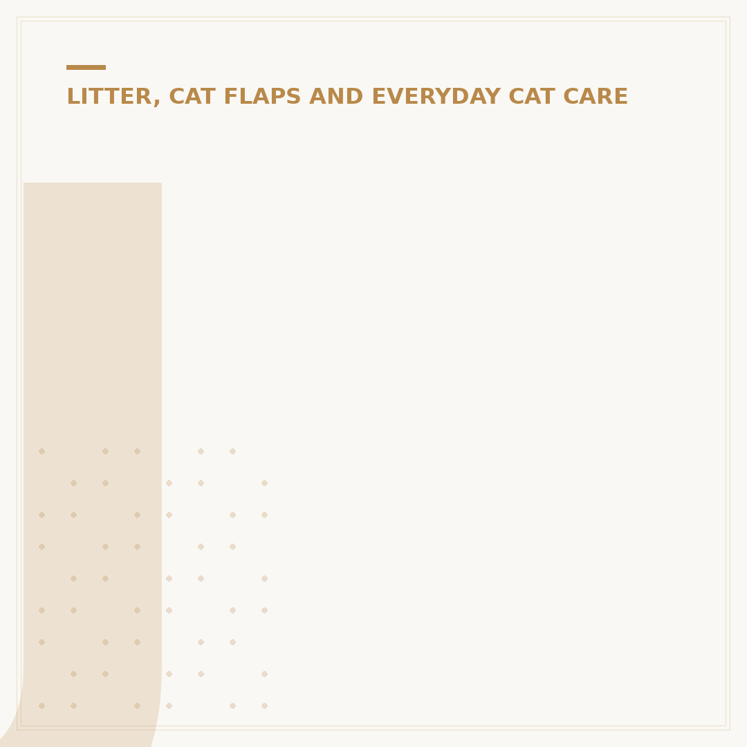 Jumpers for Cats to Wear