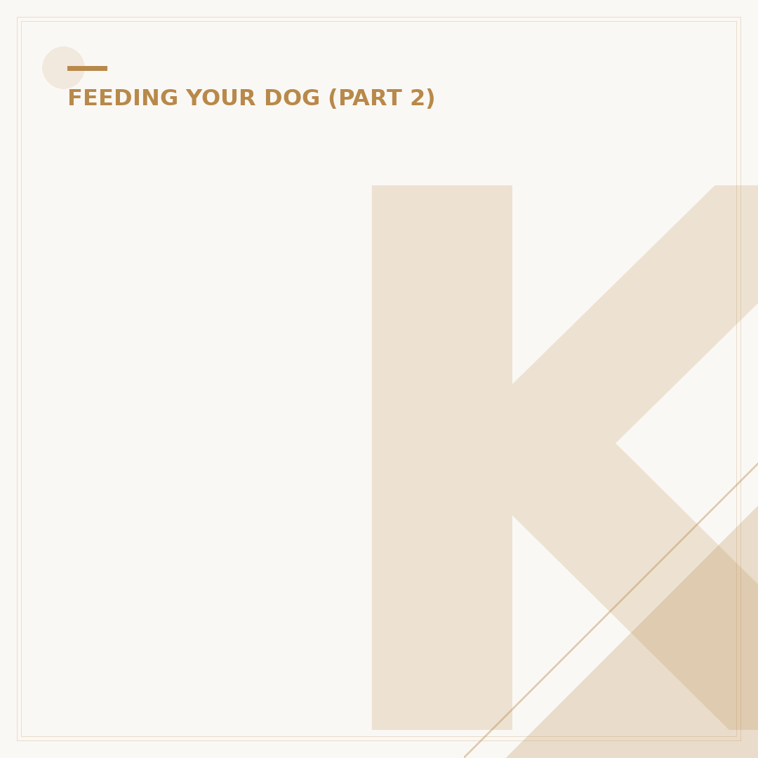 K/D Food for Dogs: Kidney Support Explained