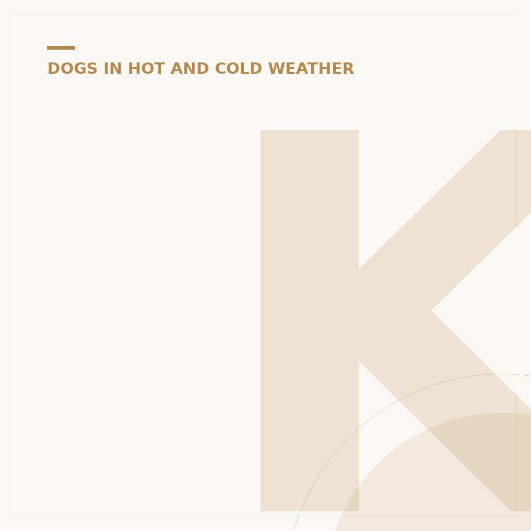 Keep Dogs Cool in Hot Weather: Home & Walk Tips