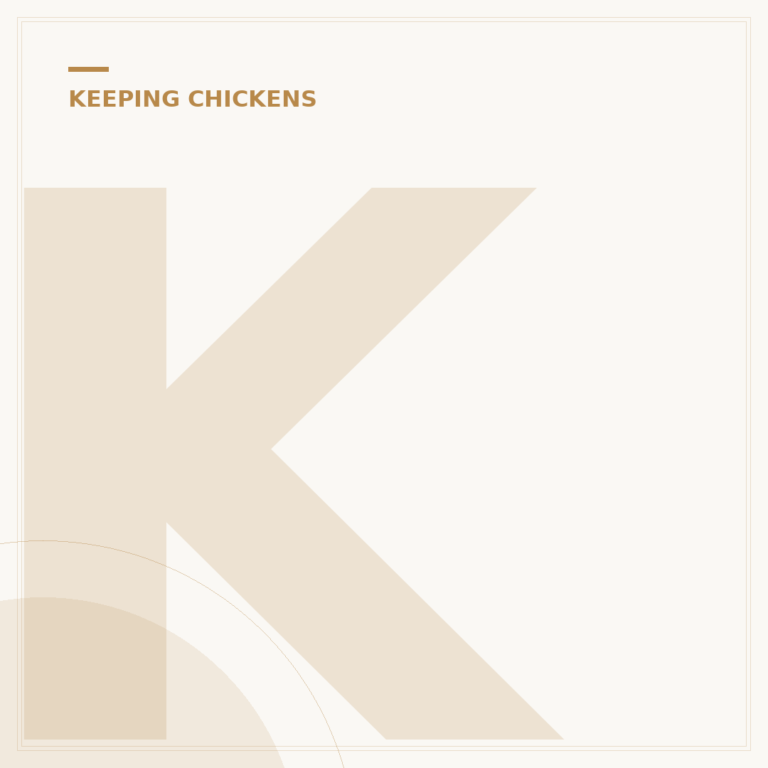 Keeping Chickens in Back Gardens UK: What Are The Laws?