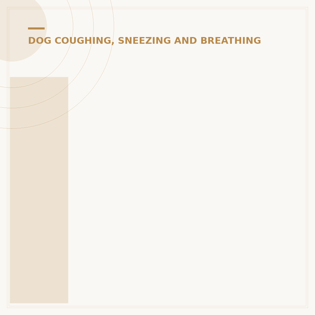 Is Kennel Cough Contagious To Humans?