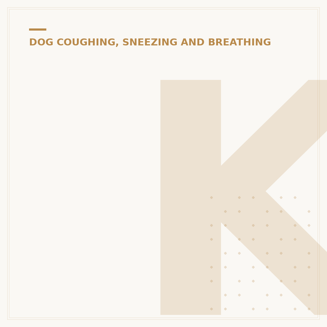 Kennel Cough Noise Explained: Sounds and What They Mean