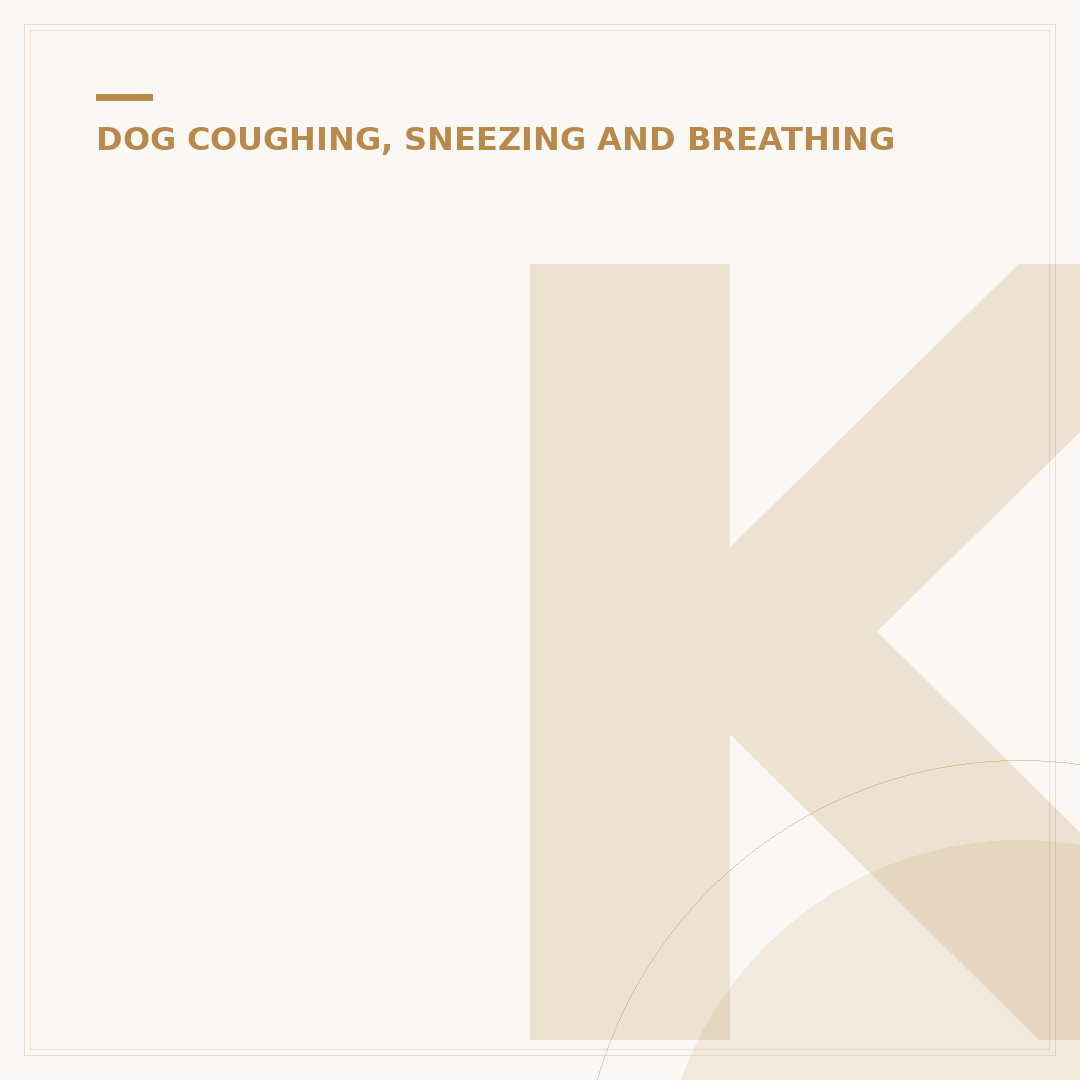 Kennel Cough Relief for Dogs: Expert Advice