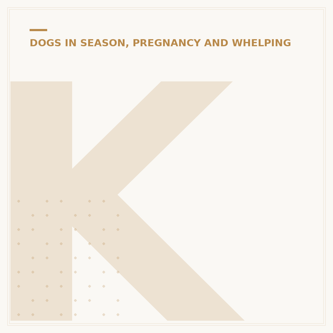 Kennel Cough Vaccine & Pregnant Women: Safety and Advice