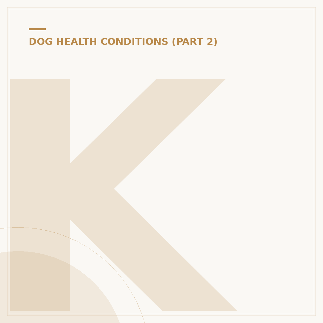 Ketoacidosis in Dogs: Signs, Causes & Management
