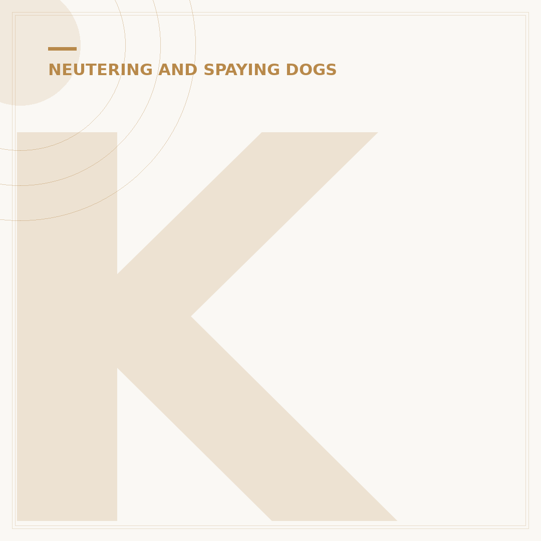 Keyhole Spay: What It Is and Why It's Different