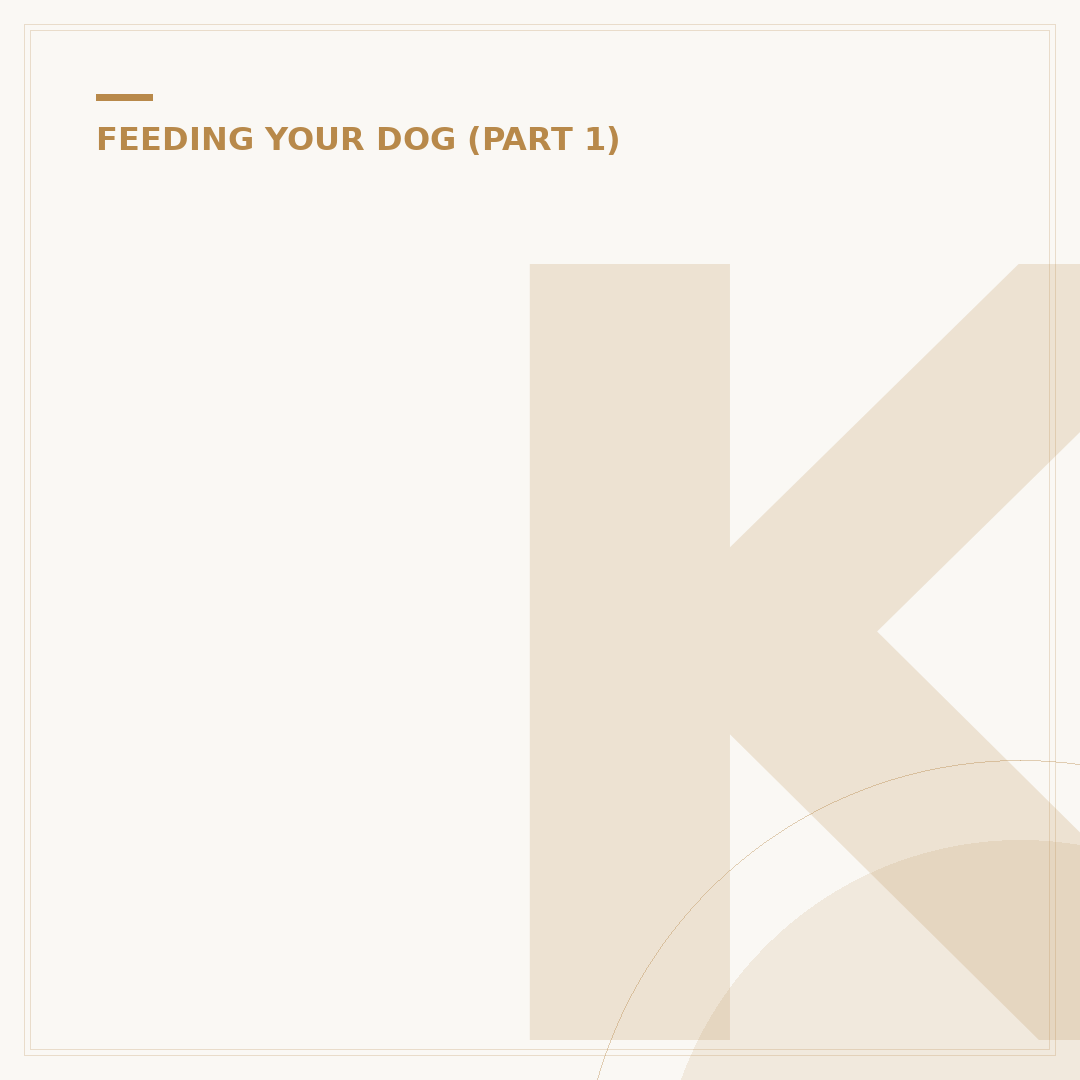 Kibble Palace: What Pet Owners Need to Know