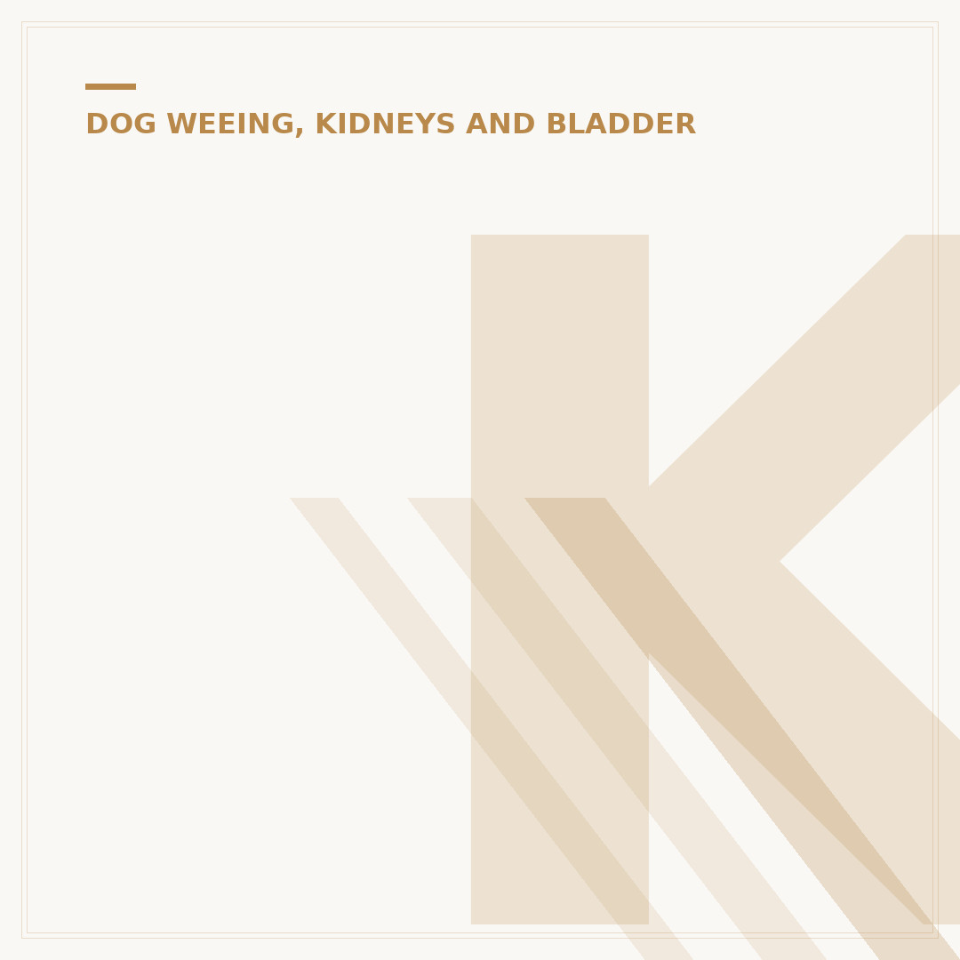 Kidney Dog Treats: Supporting Canine Renal Health