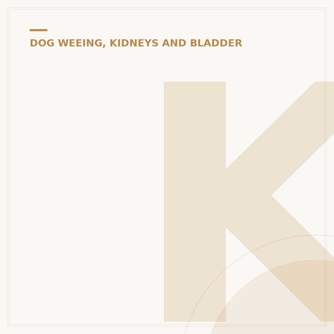 Kidney Failure in Puppies: Causes, Symptoms & What To Do