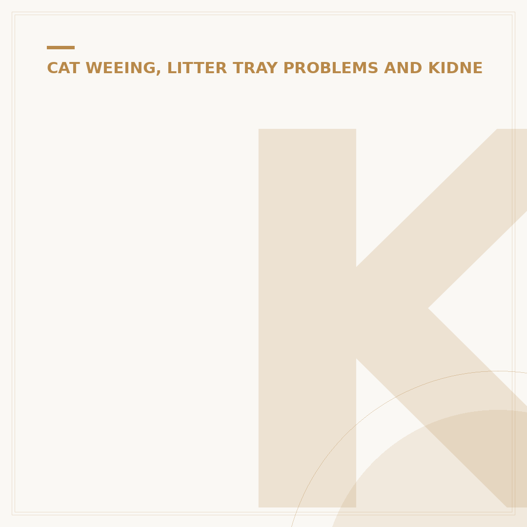 Kidney Problems in Cats: Signs and What to Do