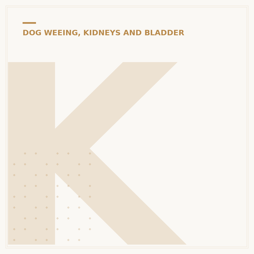 Kidney Problems in Dogs: Treatment & Management