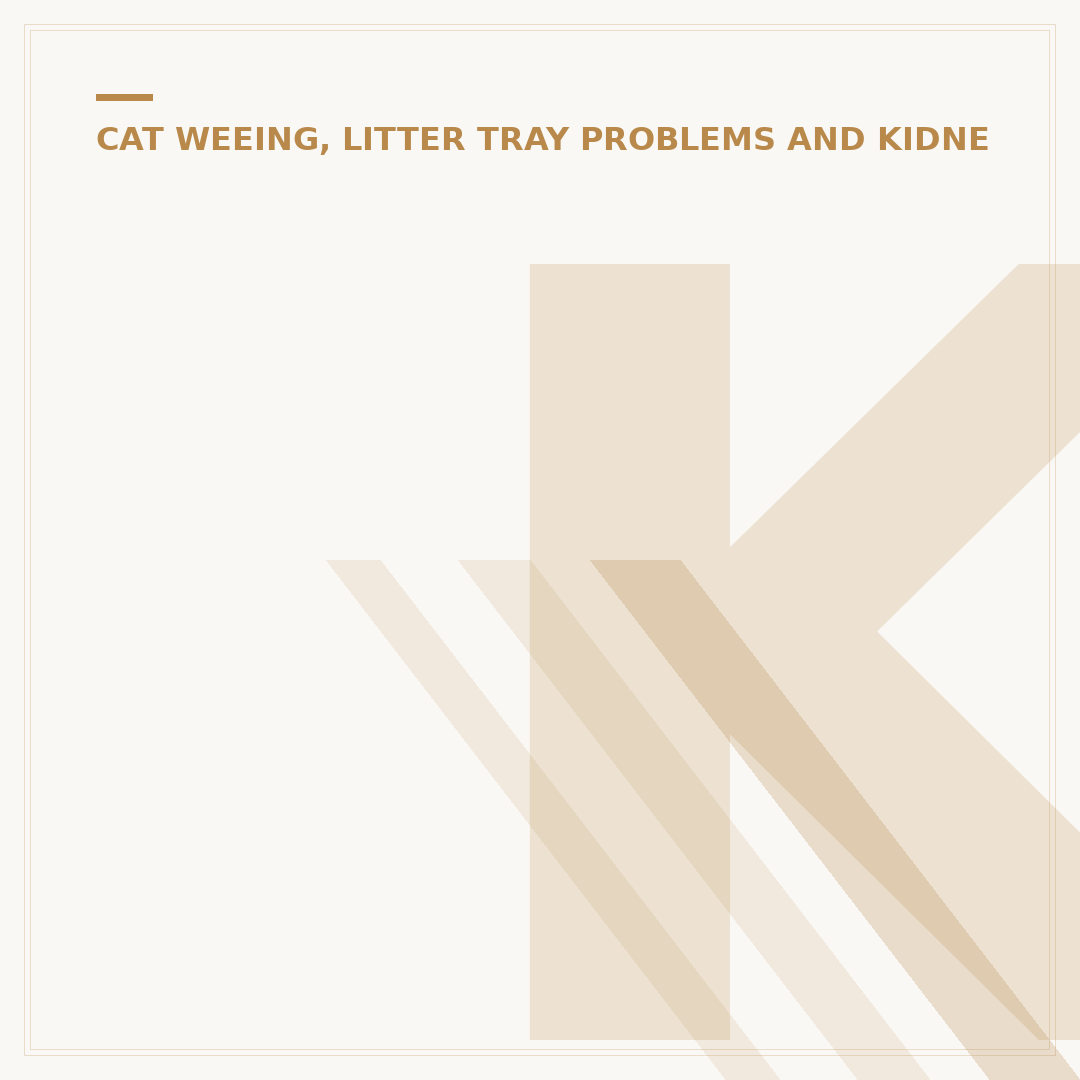 Kidney Stones in Cats: Signs, Causes, and Treatment