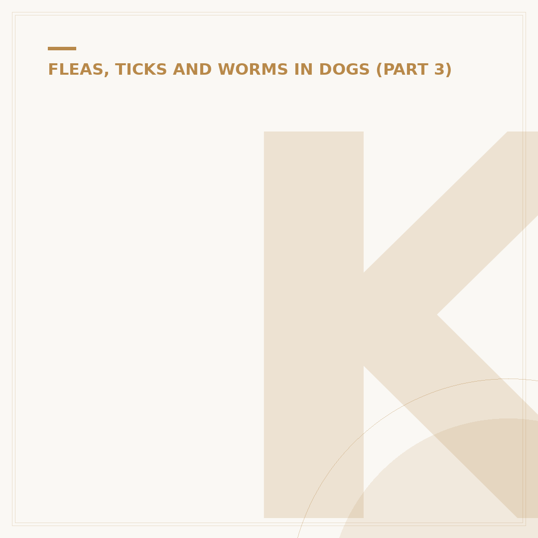 Killing Fleas in a House: Effective Home Treatments
