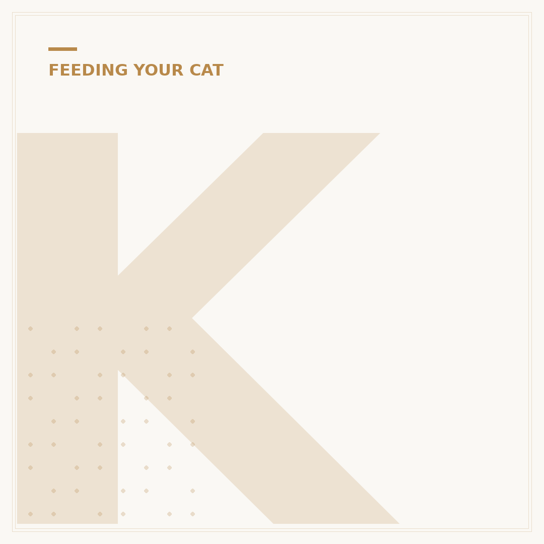 Kitten Cat Food: What Your Young Feline Needs