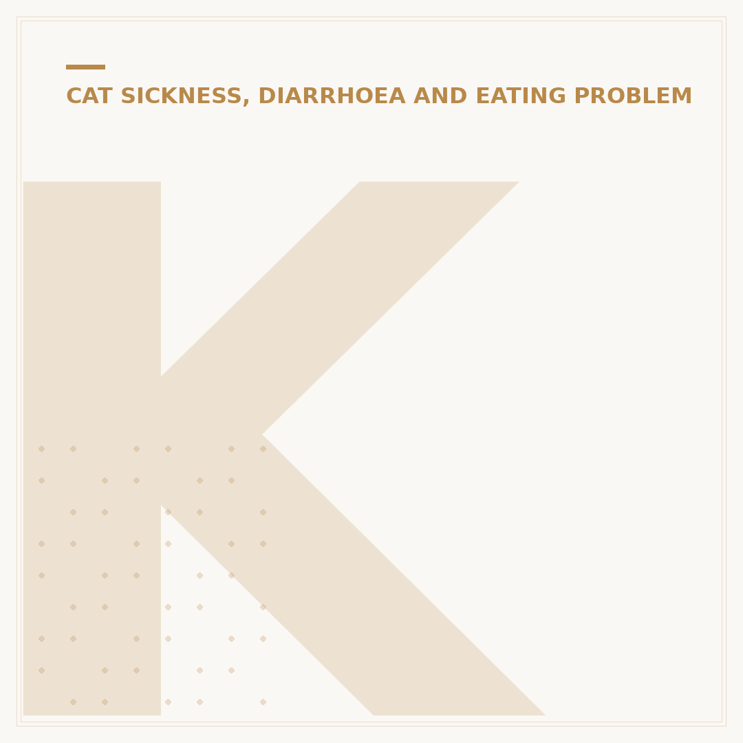 Kitten Having Diarrhea