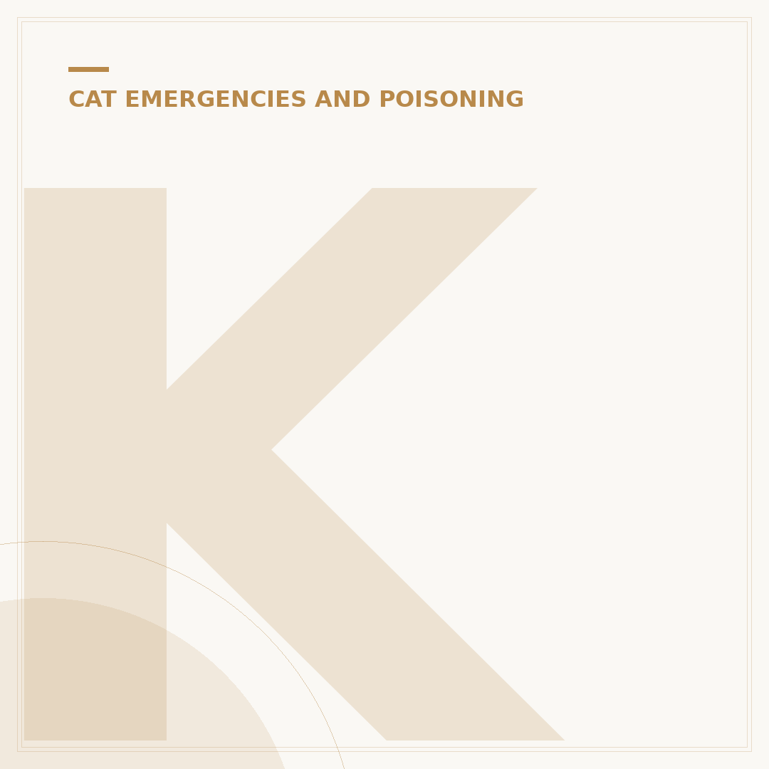 Kitten Has Eaten Something? What to Do