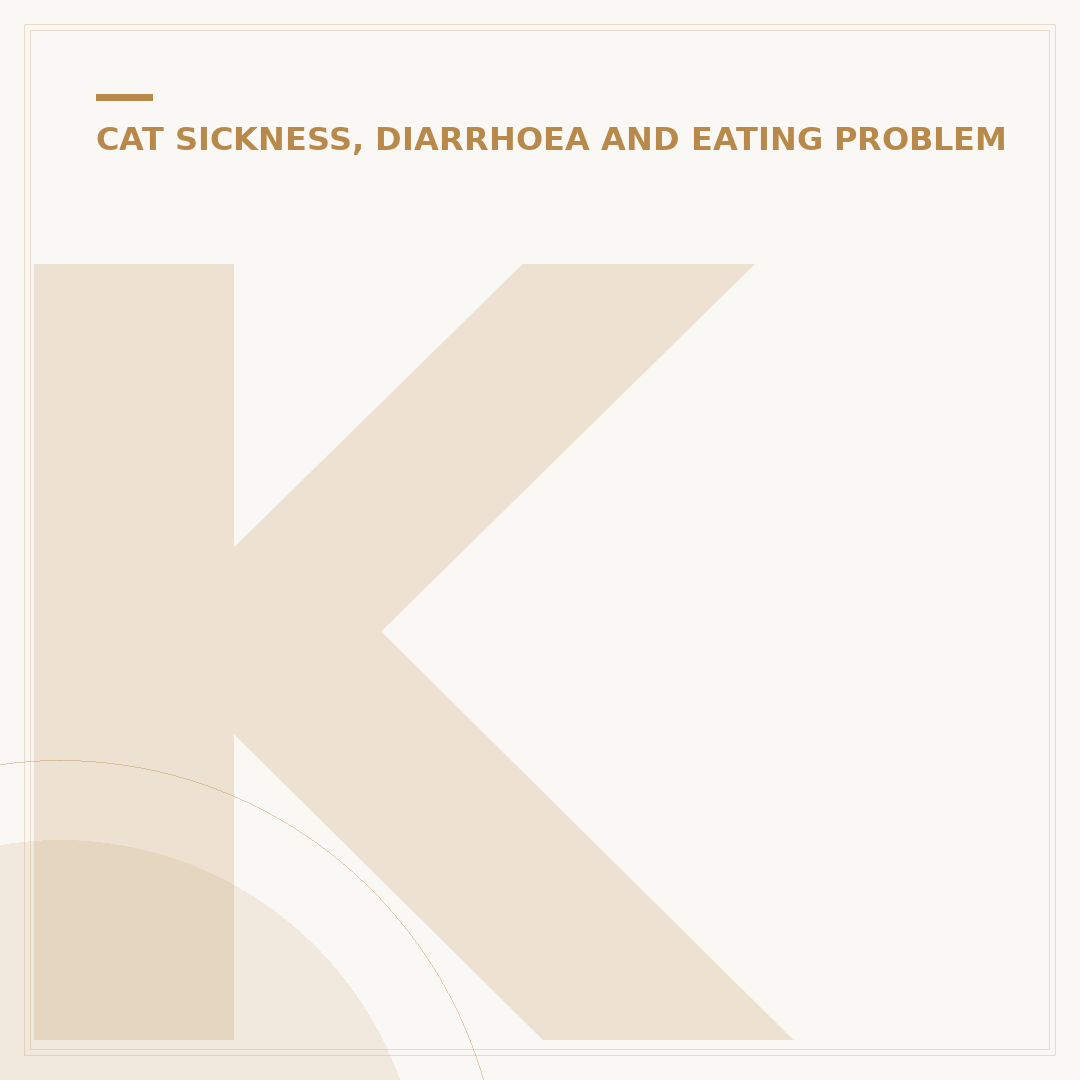 Kitten Not Eating Much But Acting Normal: What To Do