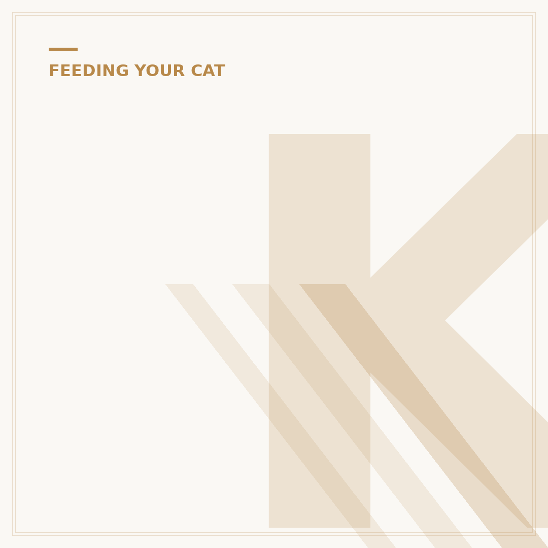 Kitten Food in Gravy: Feeding Your Young Cat