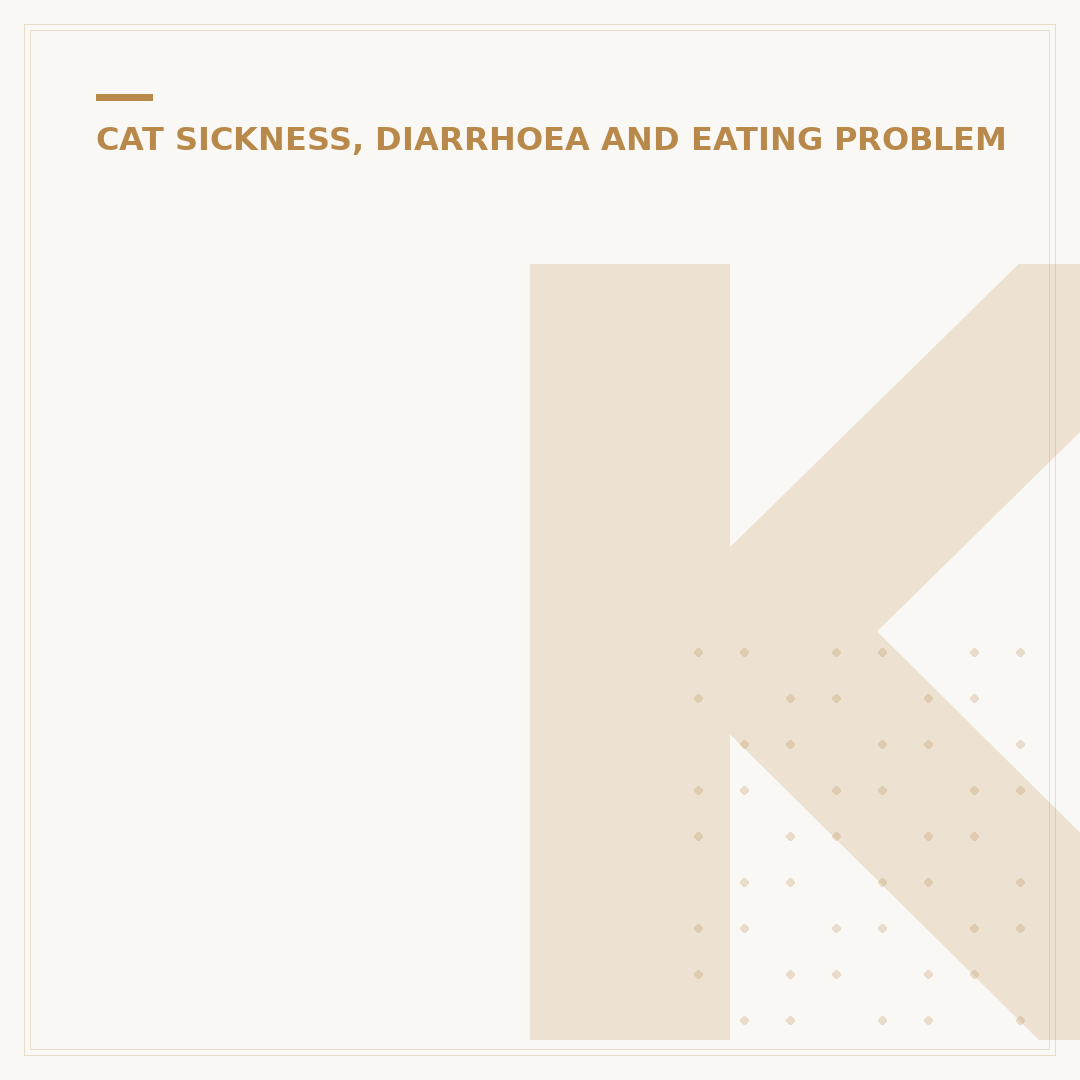 Kitten Food for Sensitive Tummies: Gentle Nutrition