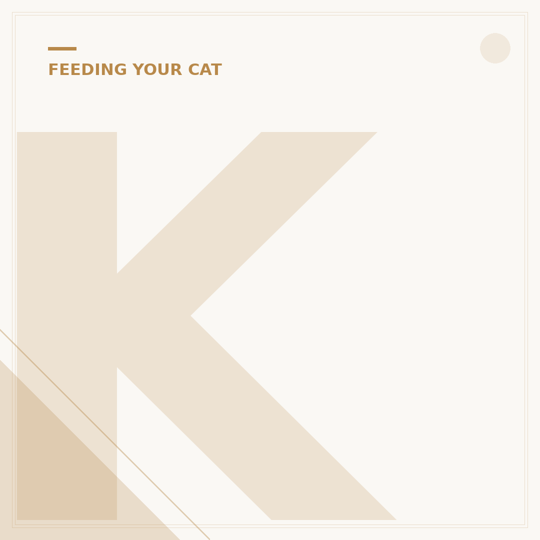 Kitten Food: What Kittens Need to Thrive