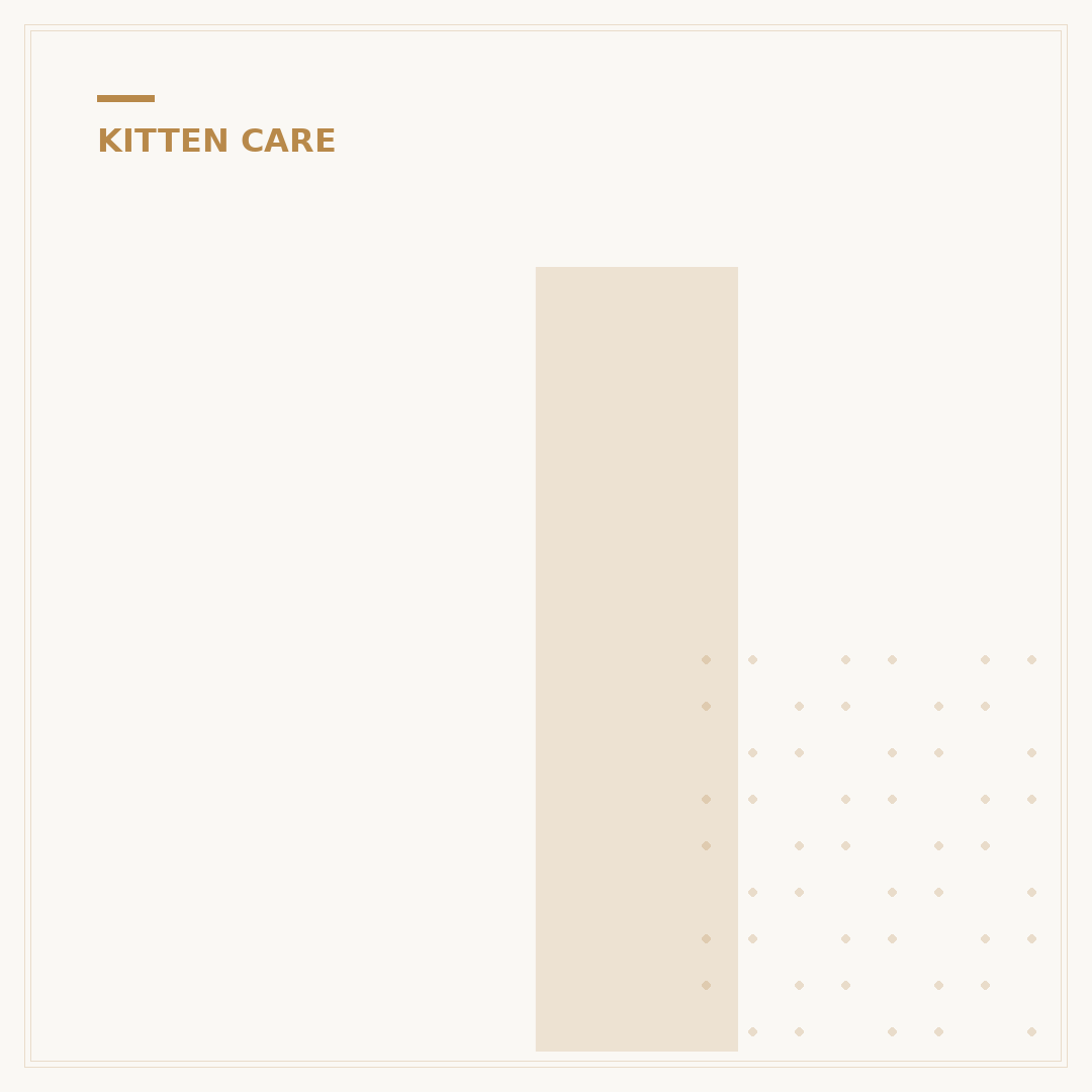 Immunization Schedule for Kittens