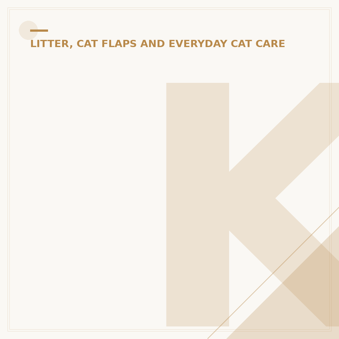 Kitten Litter Tray: What You Need To Know
