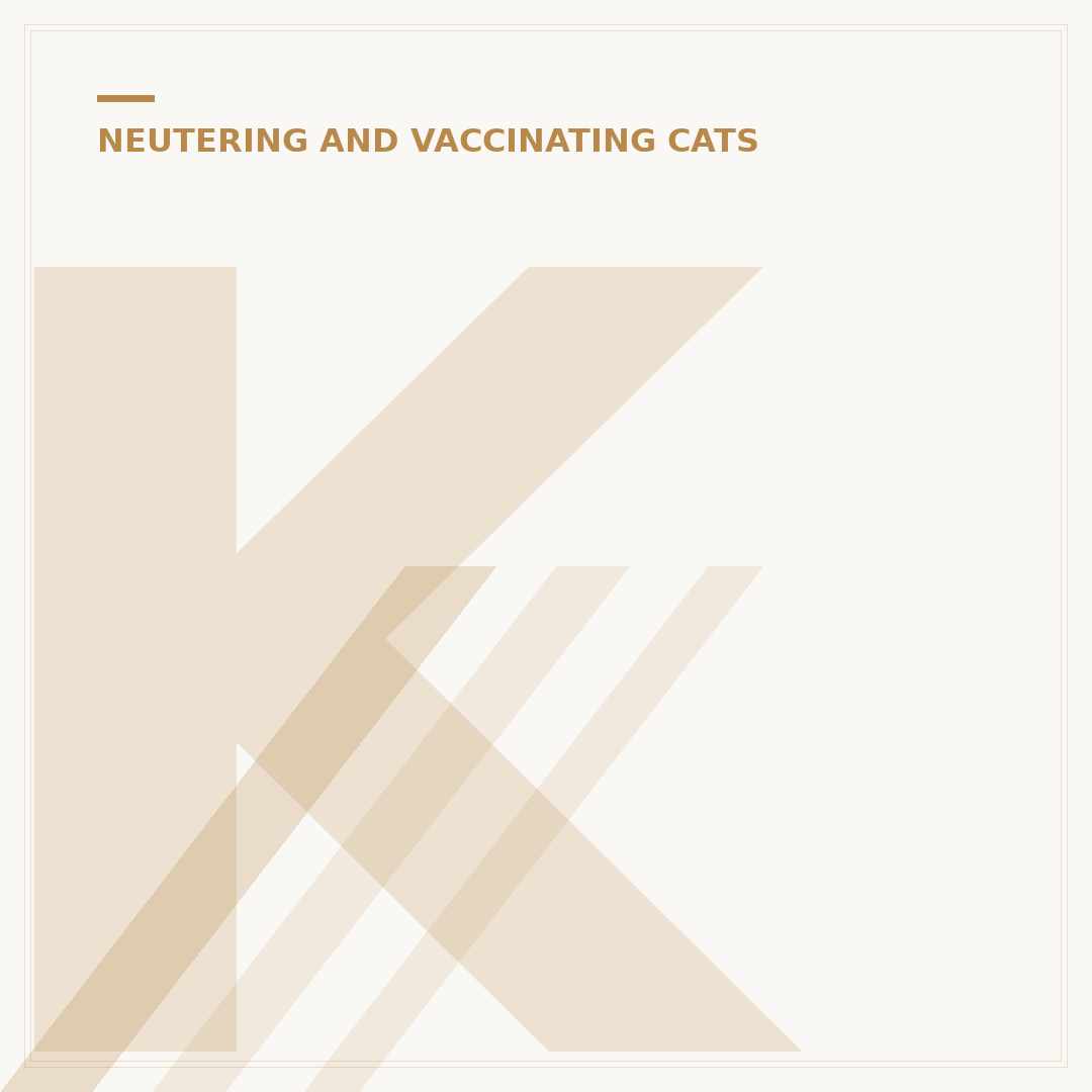 Kitten Neutering: When, Why and What to Expect