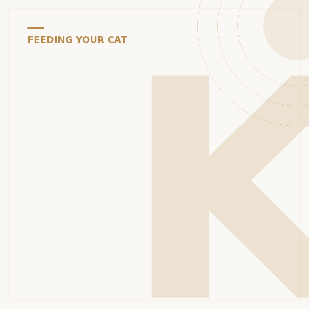Kitten Not Drinking Water: Causes, Signs & What To Do