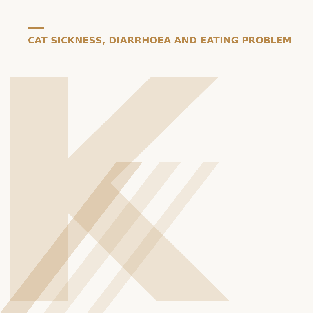 Kitten Not Eating Much: When to Worry and What to Check