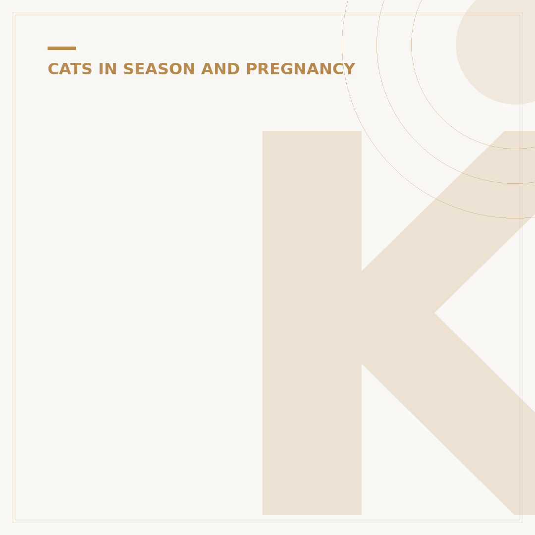 Kitten Nursing Blankets: Warmth for Vulnerable Newborns