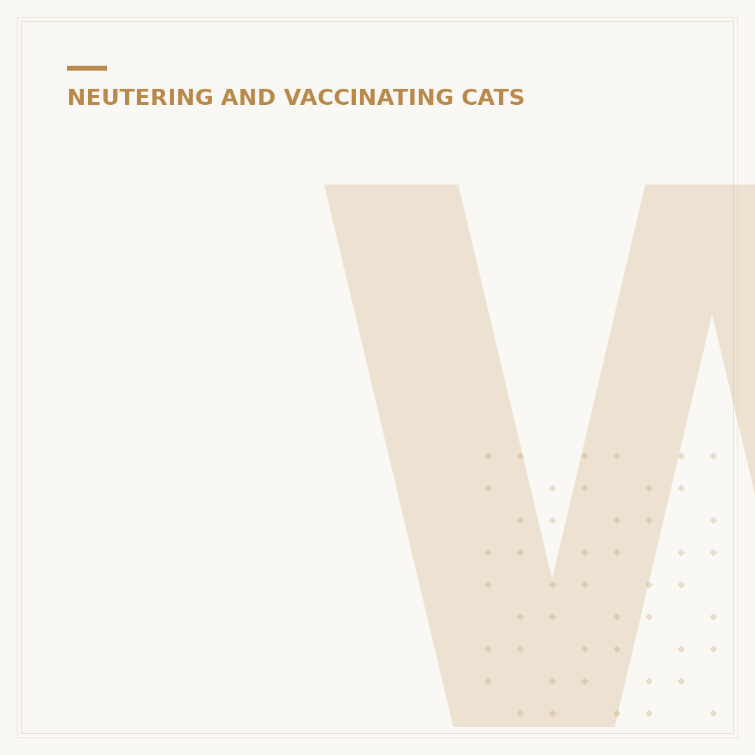 What Age Can A Kitten Be Spayed or Neutered?