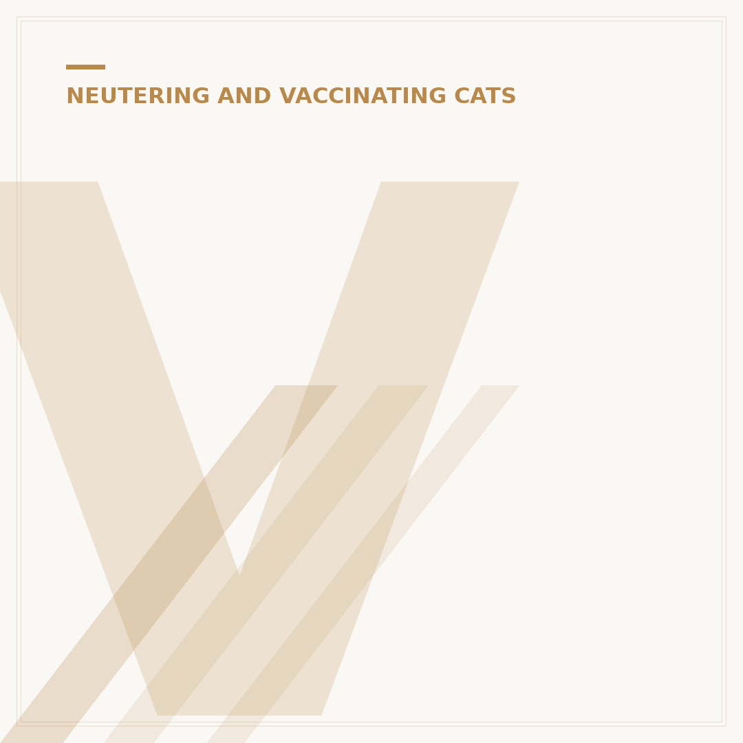 Vaccine Shots for Kittens