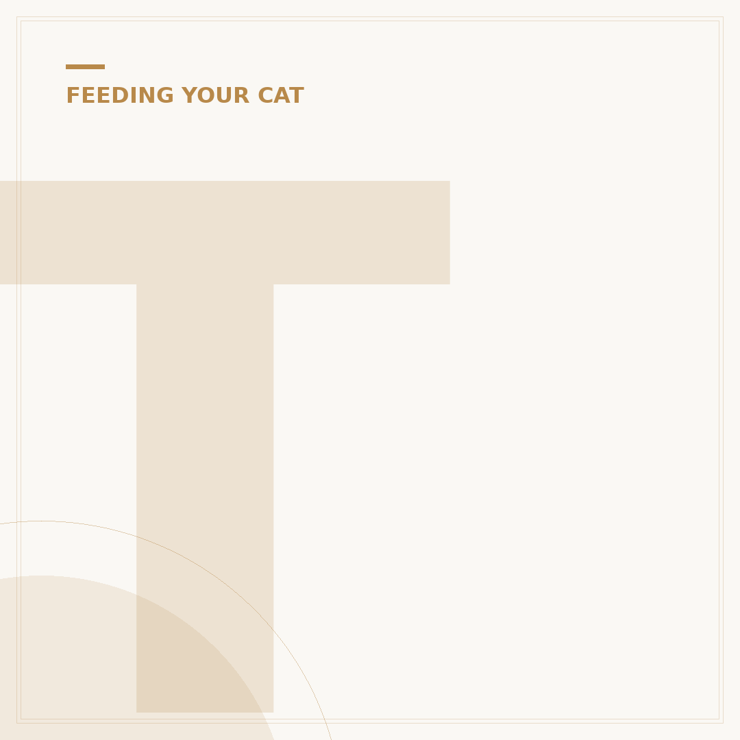The Difference Between Kitten and Cat Food