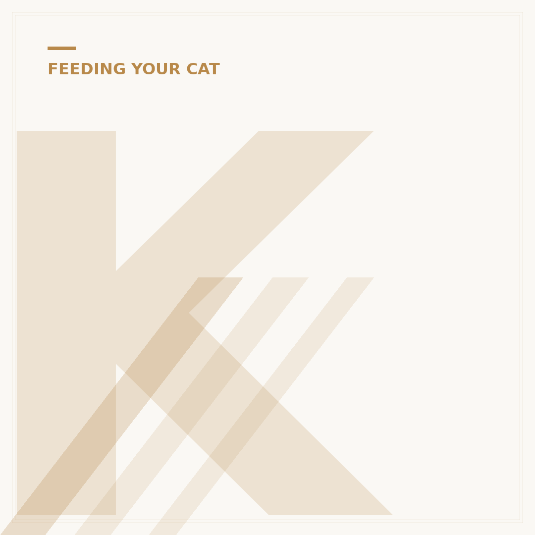 Kitten Wet Food: What To Feed Your New Arrival