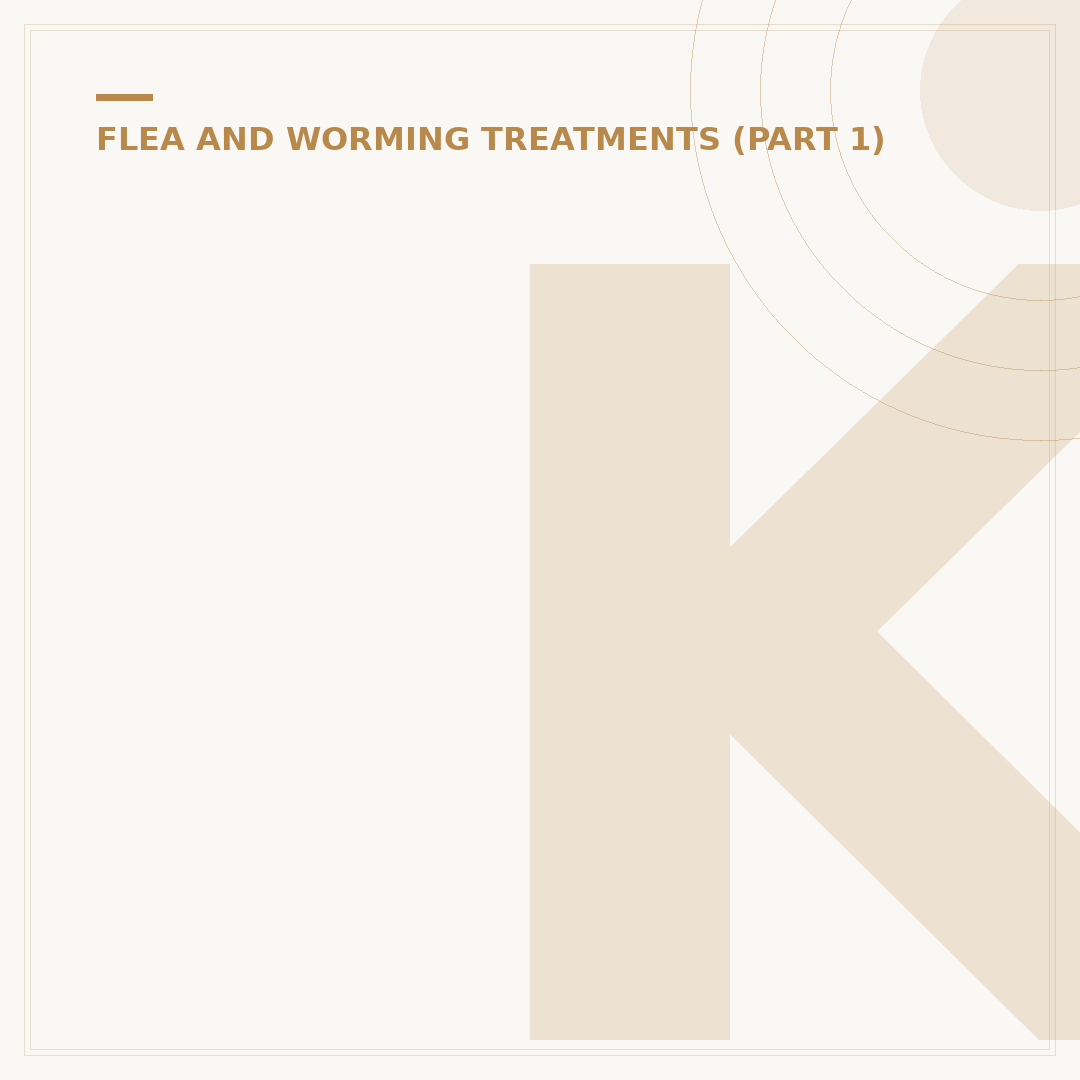 Kitten Wormer: How to Choose and Use