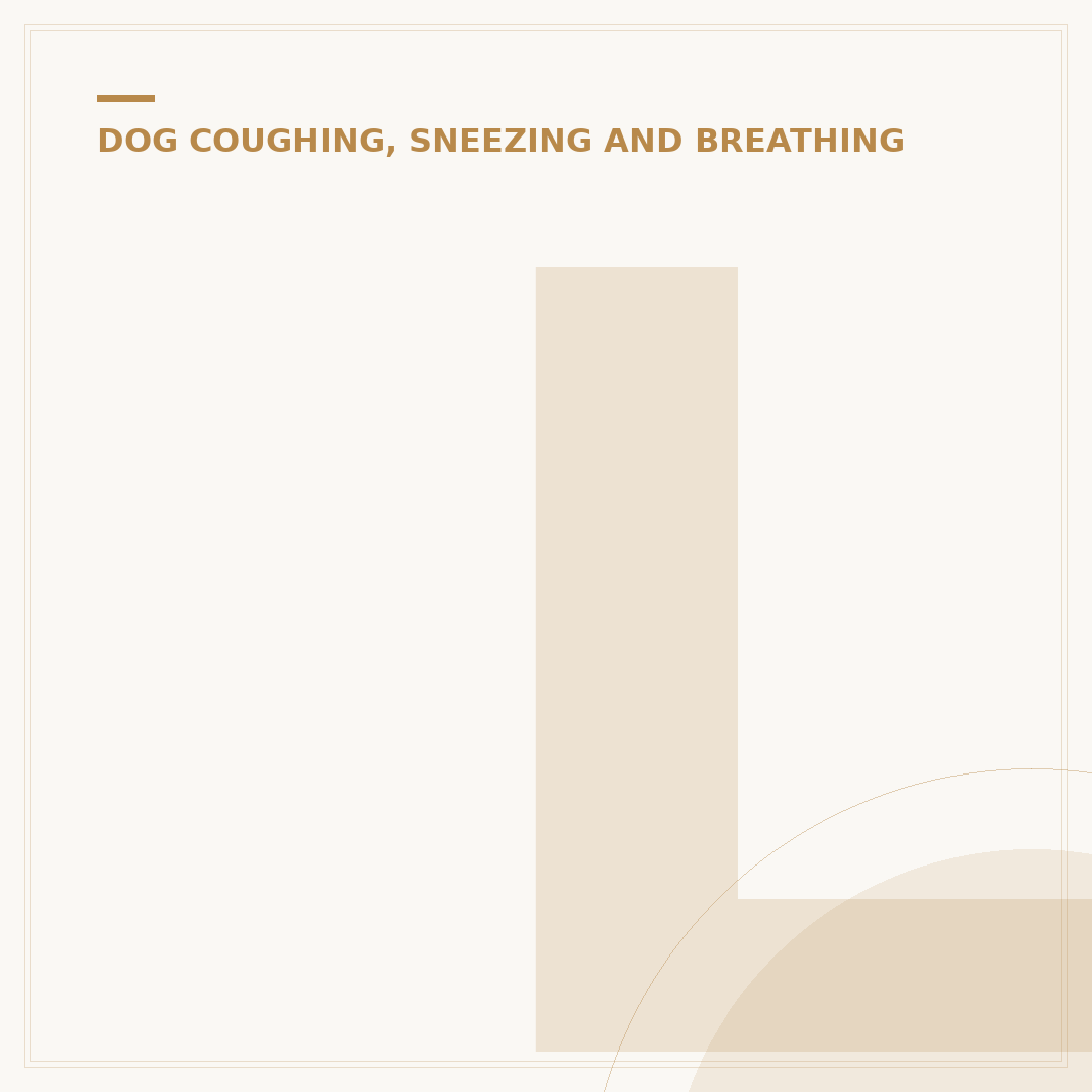 Labored Breathing in Dogs: Causes and What to Do