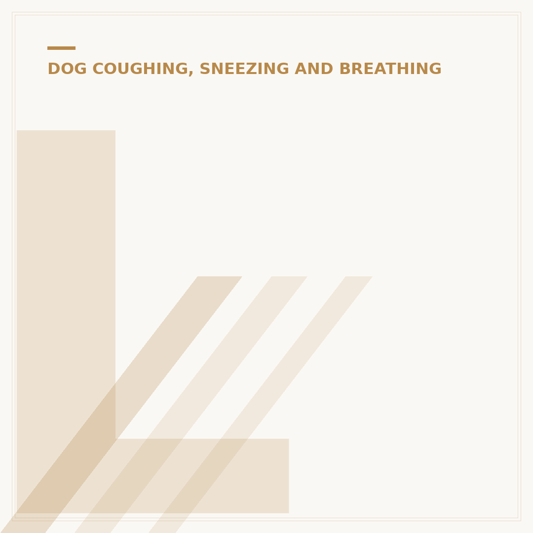 Laboured Breathing in Dogs: Causes and What to Do