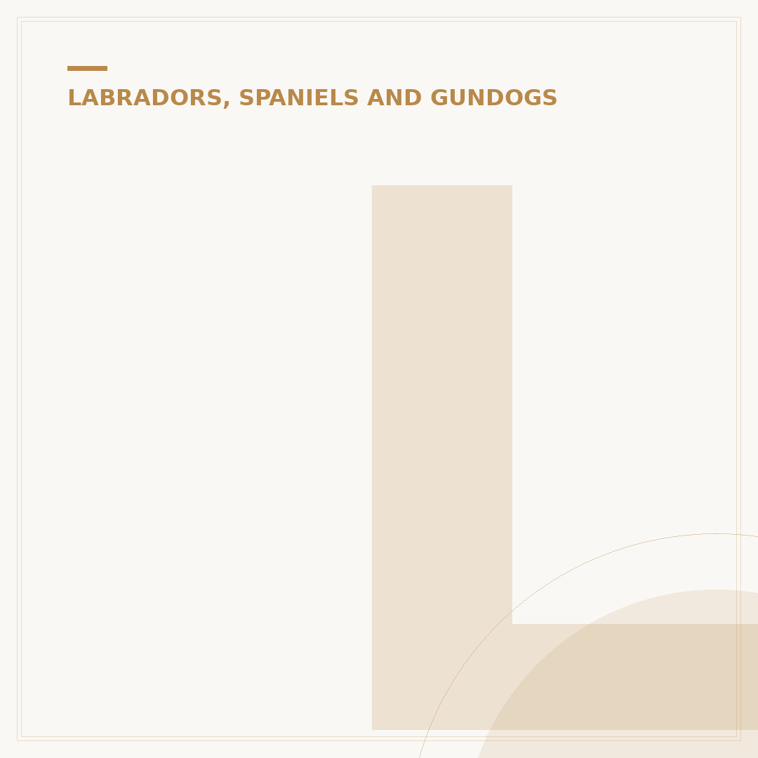 Labrador Weight Chart by Age in Kg