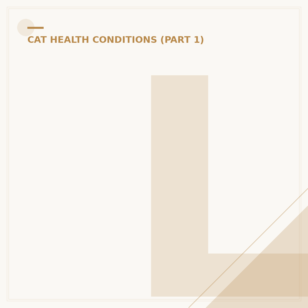 Late-Stage Hyperthyroidism in Cats: Recognising the Symptoms