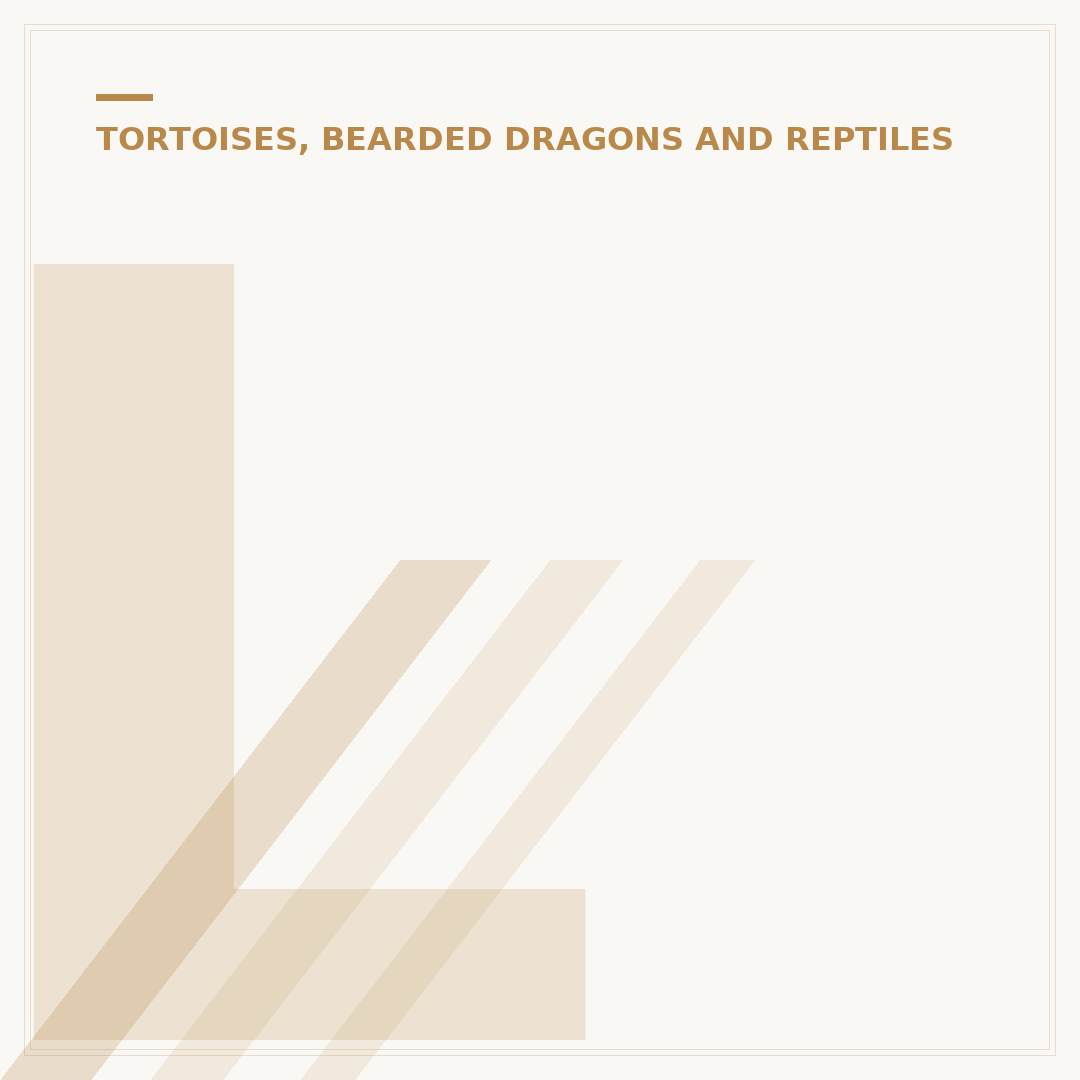 Leopard Gecko Care: Housing, Diet, and Health
