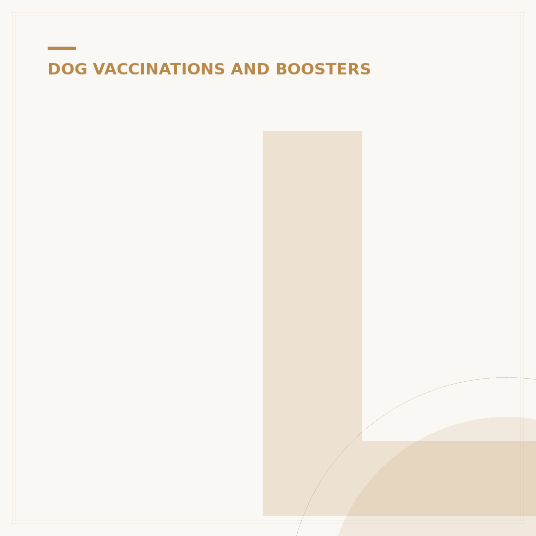 Lepto Vaccine for Dogs: What You Need to Know