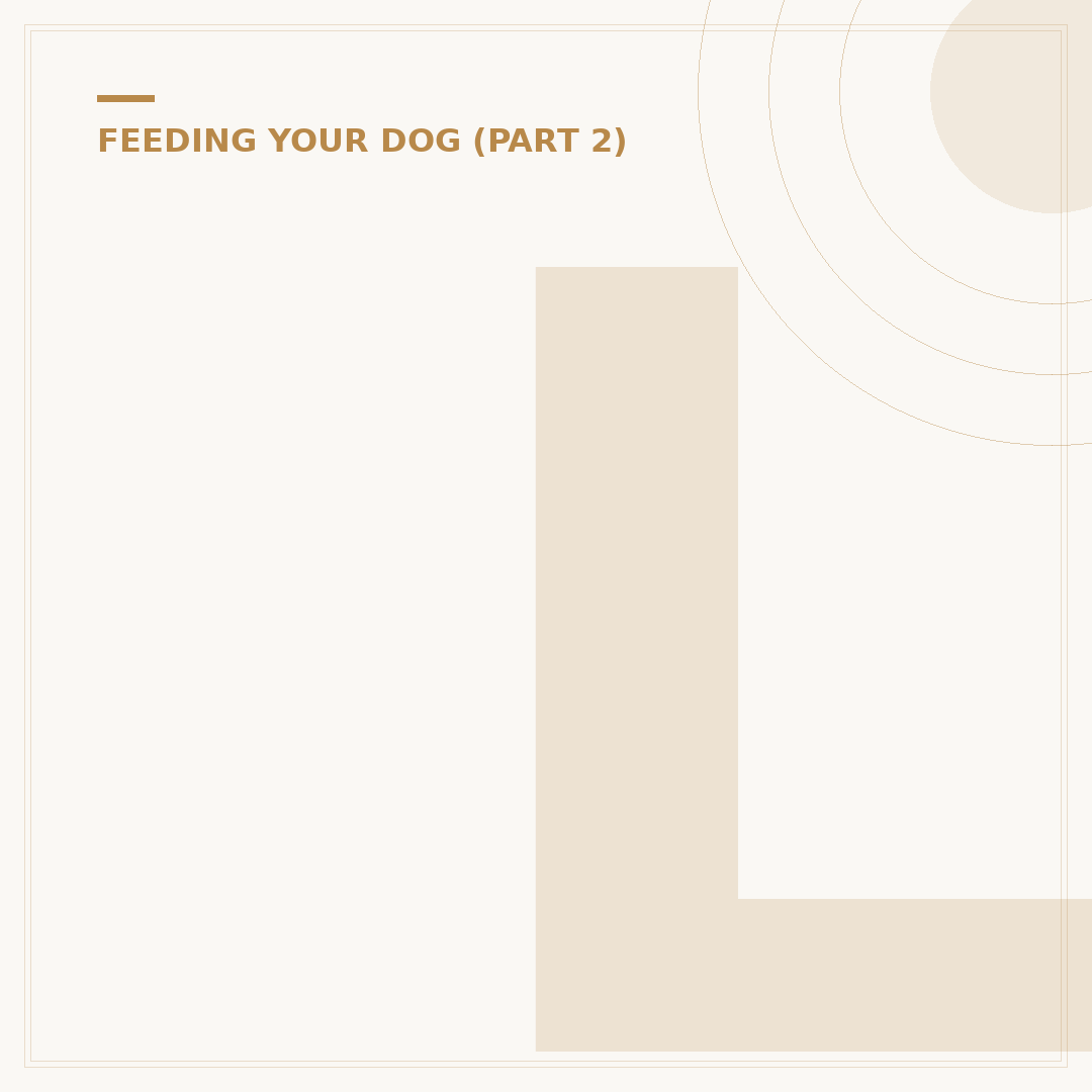 Lifestage Puppy Food: Feeding Your Young Dog Right